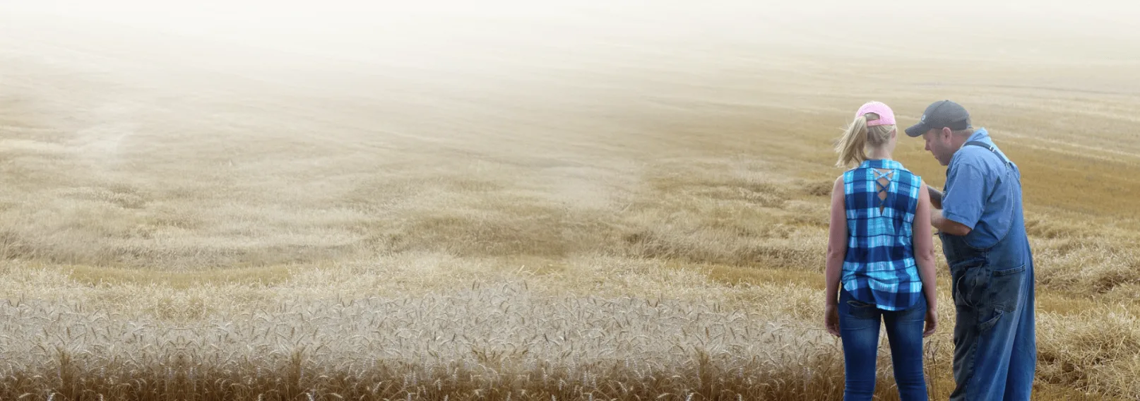 Hay and Grain Day image