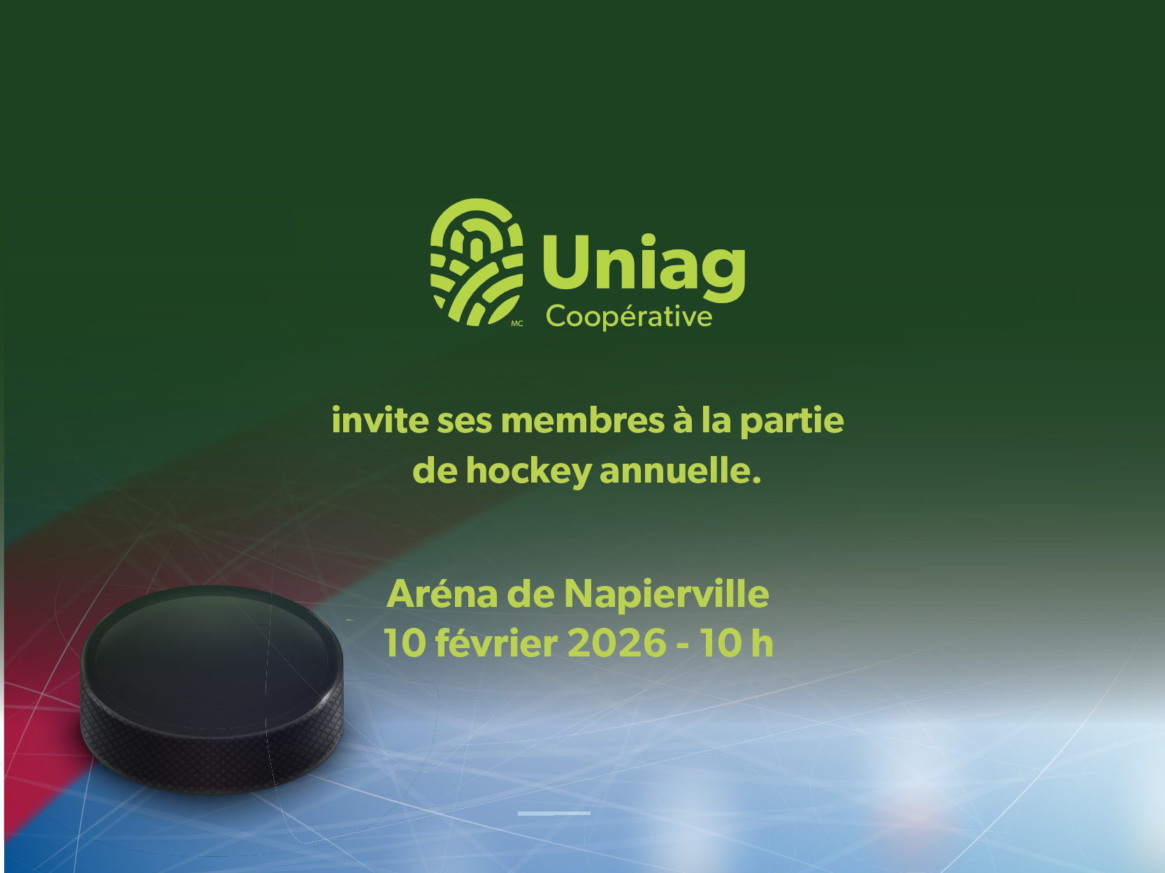 Partie de hockey – Napierville, QC image