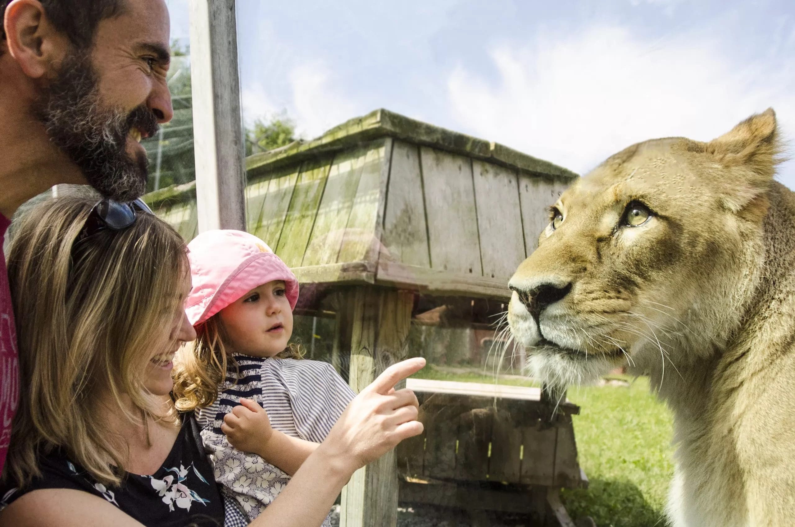 Family day at Parc Safari image