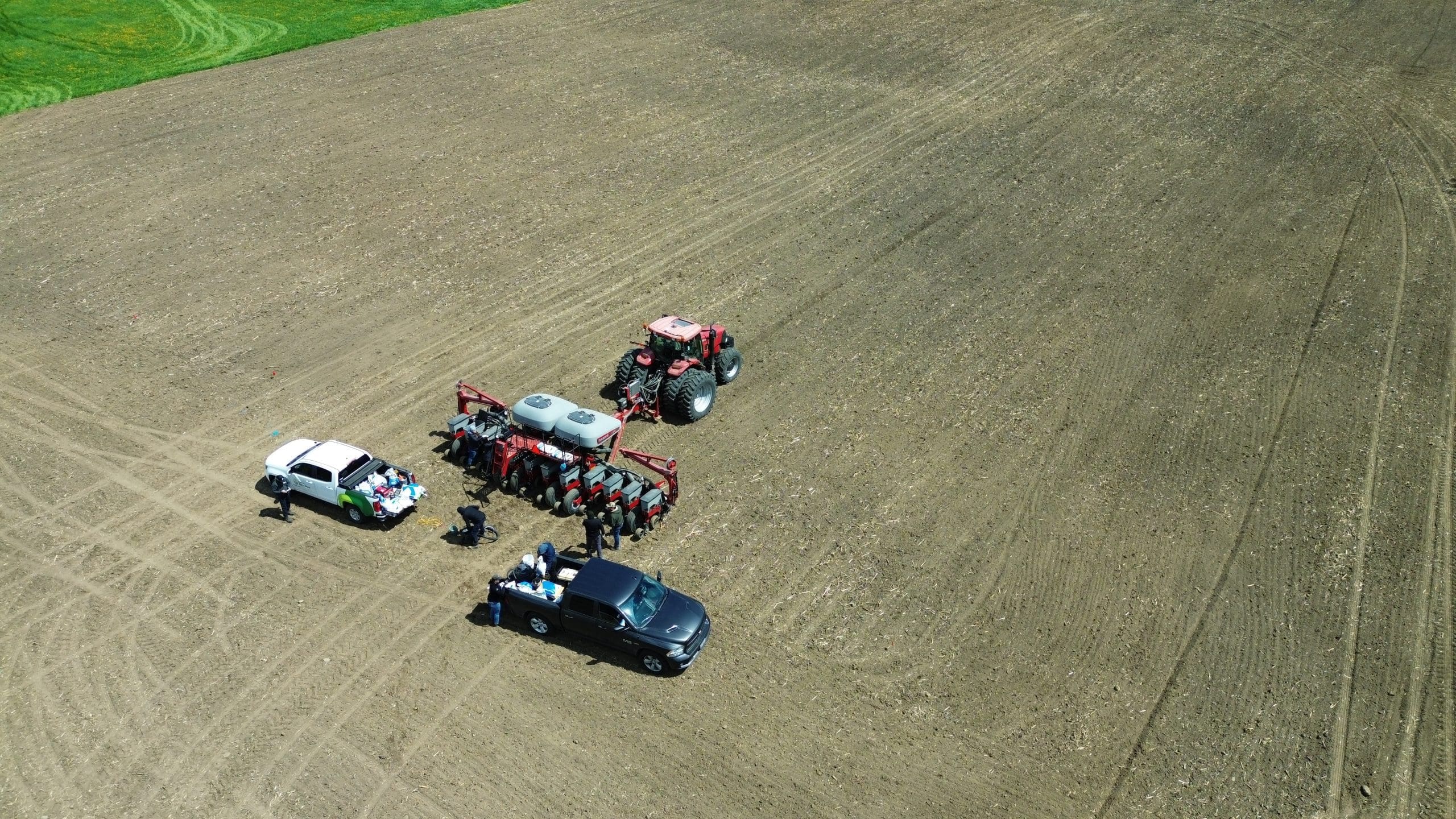 Field plot | North Lancaster, ON image