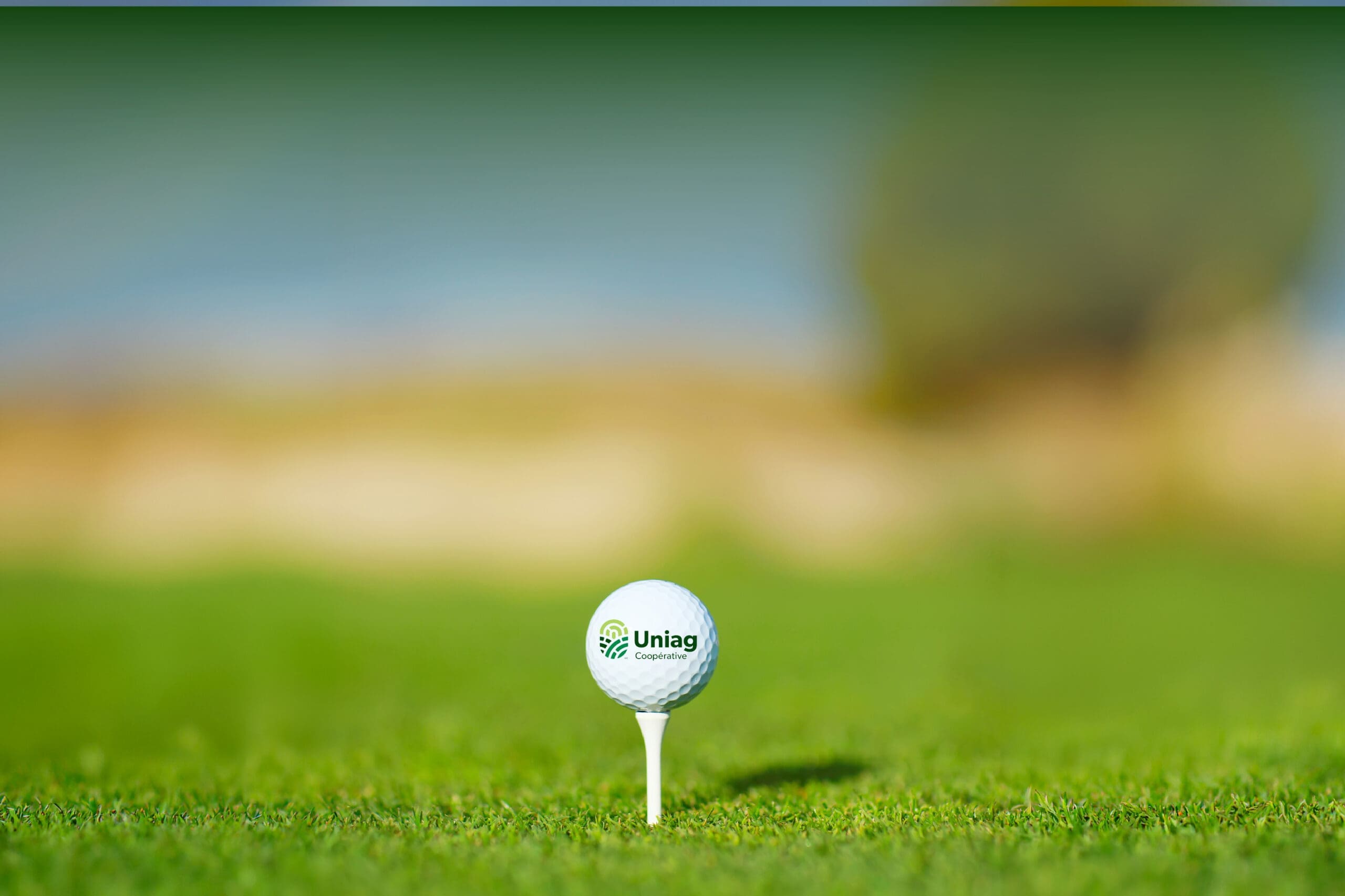 Golf Uniag 2026 image